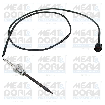 Sensor, exhaust gas temperature